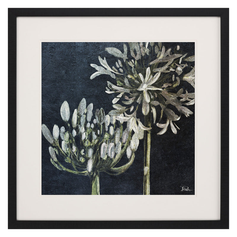 Pinto Midnight Lilies II Framed Art