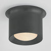 Hudson Valley Lighting Noxon Flush Ceiling Mount