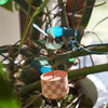 Prized Plant Ornament Set of 2