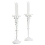 Wildwood Roche Candlestick Set of 2