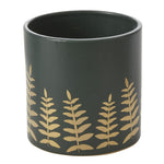 Midwinter Fern Pot