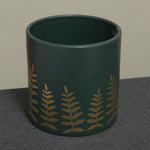 Midwinter Fern Pot