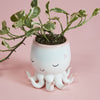 Open Arms Octopus Pot Set of 2