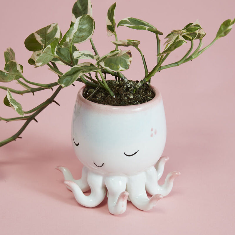 Open Arms Octopus Pot Set of 2