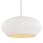 Hudson Valley Lighting Ferndale Pendant