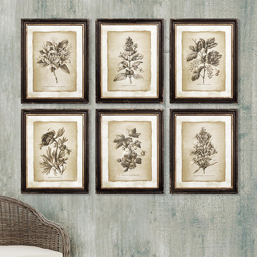 Framed Vintage Floral Print Wall Art Set of 6