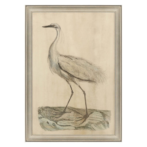 Studio White Egret Framed Art