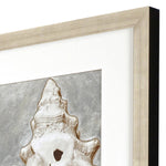 Langdon Mordern Shell I Framed Art