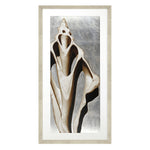 Langdon Mordern Shell III Framed Art