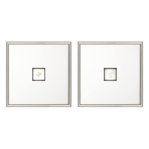 The Studio Coral II Framede Art Set of 2