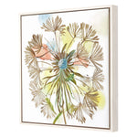 Jardine Dandelion I Canvas Art