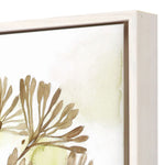 Jardine Dandelion I Canvas Art