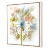 Jardine Dandelion II Canvas Art