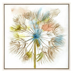 Jardine Dandelion II Canvas Art