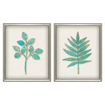 The Studio Botanical II Framed Art Set of 2