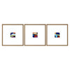 Jardine Color Squares I Framed Art Set of 3