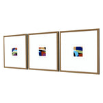 Jardine Color Squares I Framed Art Set of 3