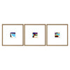 Jardine Color Squares II Framed Art Set of 3