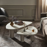 Four Hands Zion Coffee Table Set