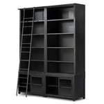 Four Hands Admont Double Bookcase And Ladder