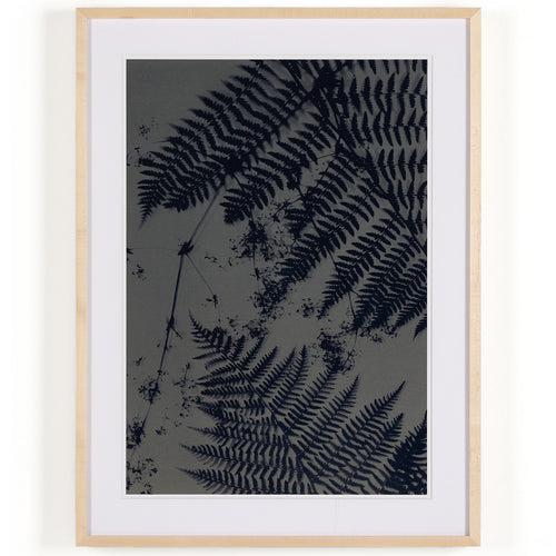 Four Hands x Coup D'esprit Cyanotype Botanical III Framed Art