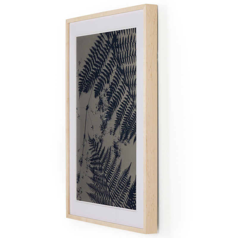 Four Hands x Coup D'esprit Cyanotype Botanical III Framed Art