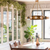 Martyn Lawrence Bullard x Corbett Lighting Hopper Chandelier