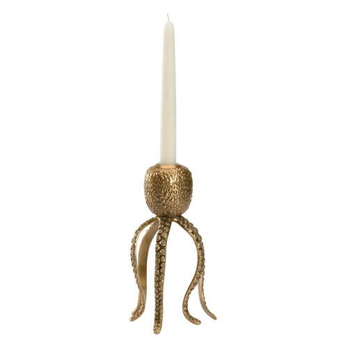 Wildwood Pacific Octopus Candleholder