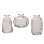 Livi Budvase Set of 6