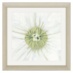 Poesia Floral Fresh Center Giclee Framed Art