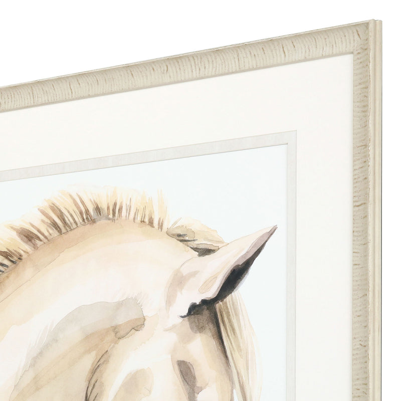 Popp Golden Palomino I Giclee Framed Art