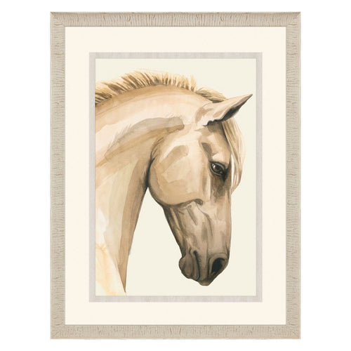 Popp Golden Palomino I Giclee Framed Art