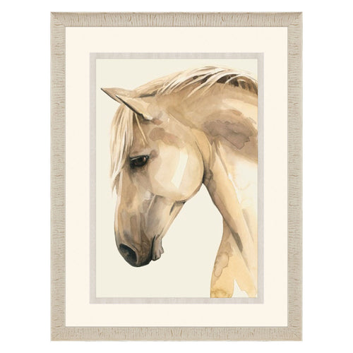 Popp Golden Palomino II Giclee Framed Art