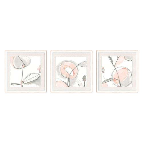 Vess Blush Affinity II Giclee Framed Art Set of 3