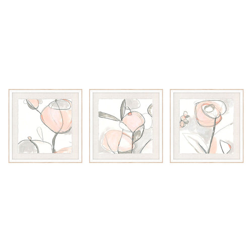 Vess Blush Affinity I Giclee Framed Art Set of 3