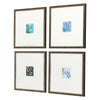 Adamson-Ray Botanica I Exclusive Framed Art Set of 4