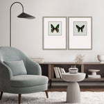 Incado Great Butterfly I Set of 2