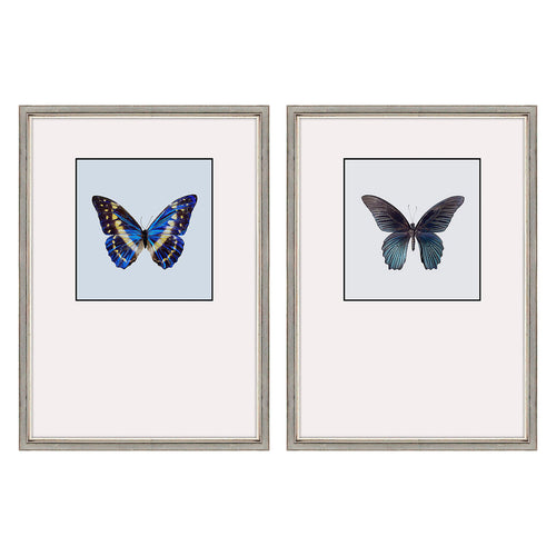 Incado Great Butterfly II Set of 2