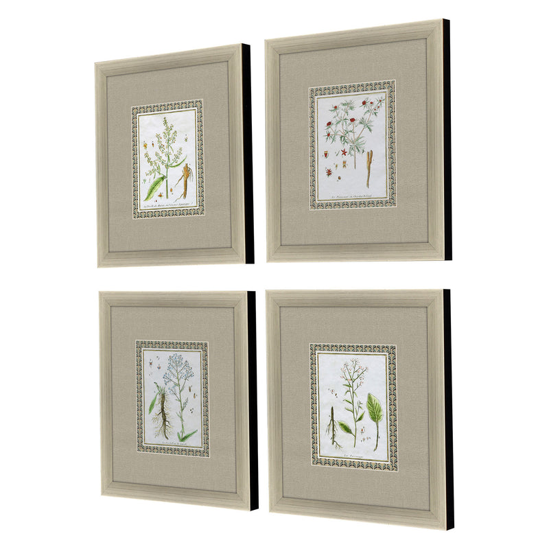 La Passerage I Exclusive Framed Art Set of 4