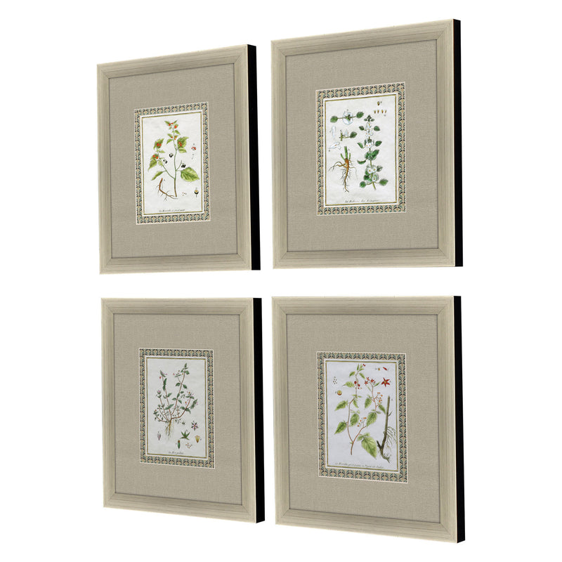 La Passerage II Exclusive Framed Art Set of 4