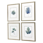 Owens Plant Drawings Exclusive Framed Art Set of 4