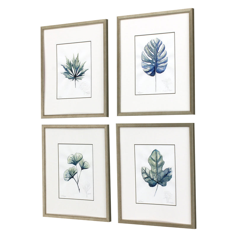 Owens Plant Drawings Exclusive Framed Art Set of 4