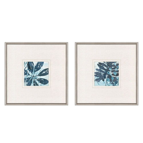 Vess Water Palms II Set of 2