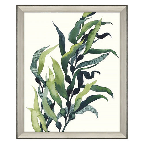 Popp Through the Kelp II Giclee Framed Art