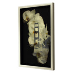 AH Collection Deja Vu Exclusive Framed Art