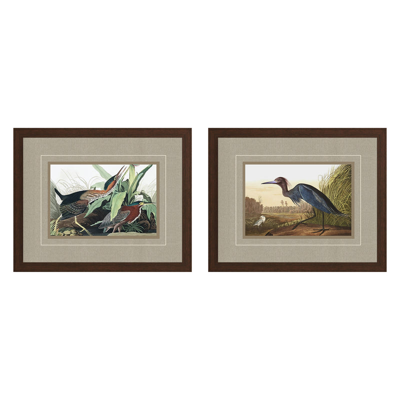 Audobon III Framed Art Set of 2