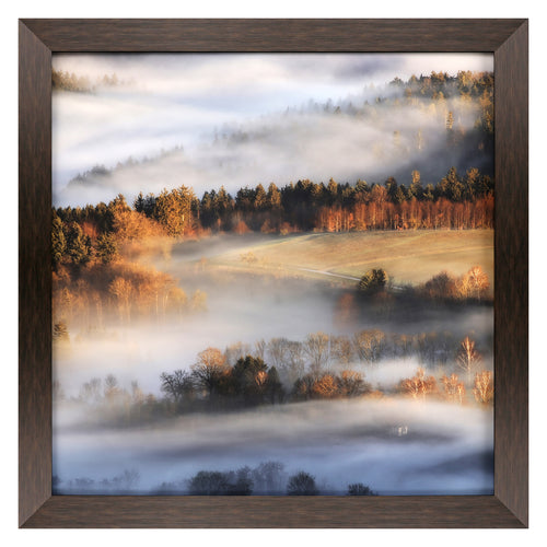 Riker Reverie At Dawn Framed Art