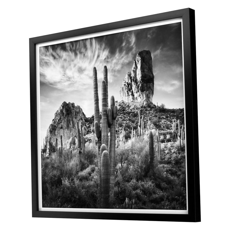 Prost Desert View Framed Art