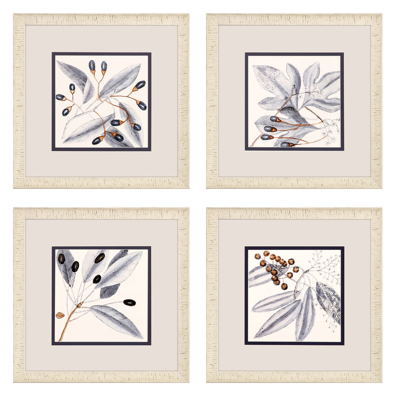 Haase Blue Botanical Framed Art Set of 4