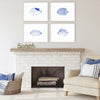 Vision Studio Blue Fish Framed Art Set of 4